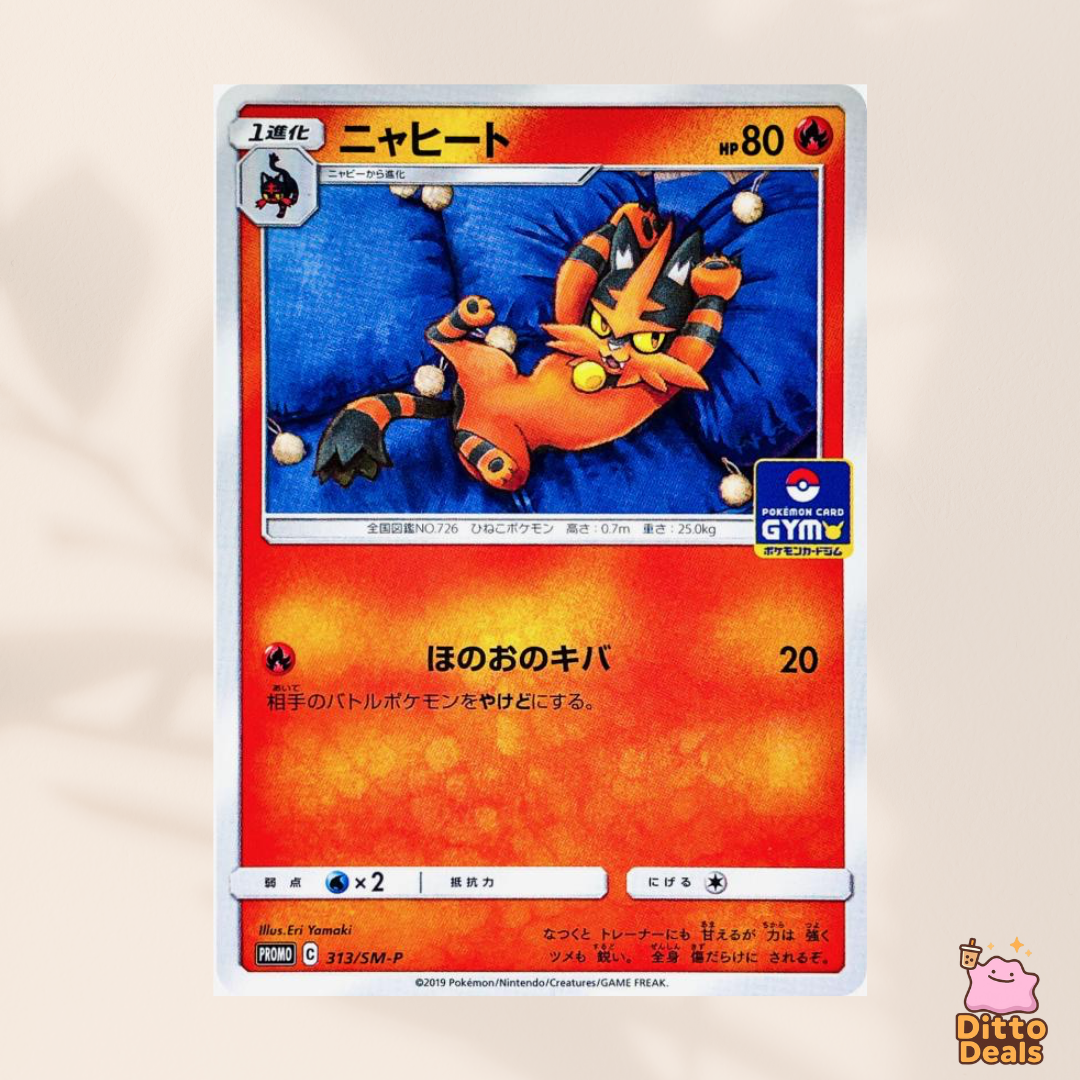 [Promo] 313/SM-P Torracat